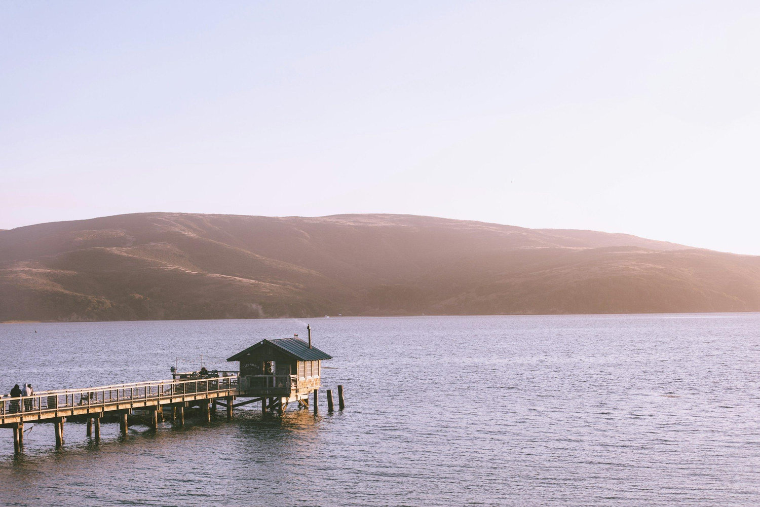 The Wedding Website of Elana Wolpa and Zach Smith