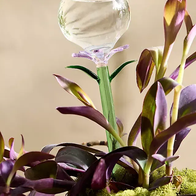 Floral Glass Watering Globe