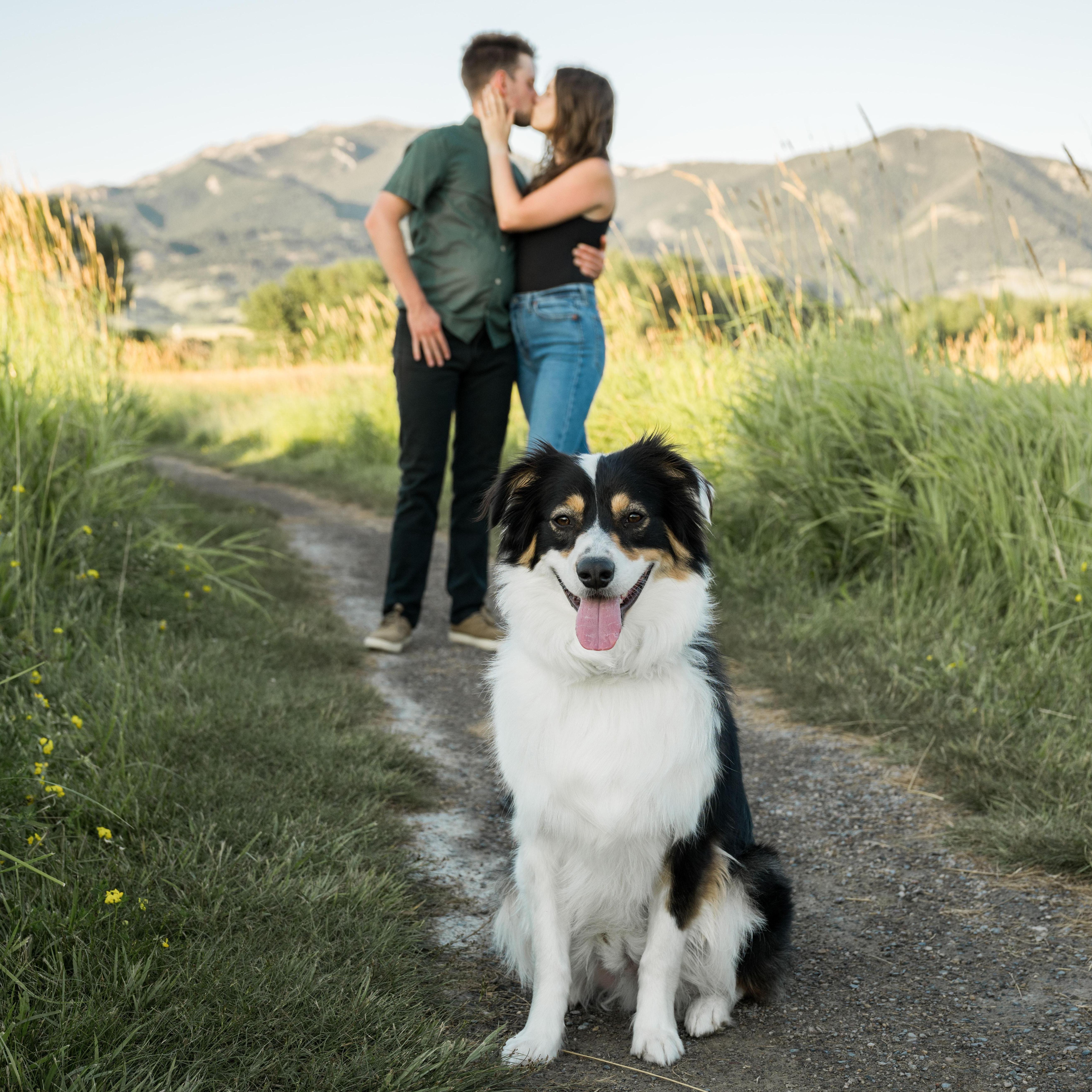 Engagement Photo