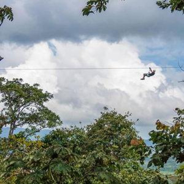 Zipline excursion through Arenal Volcano National Park