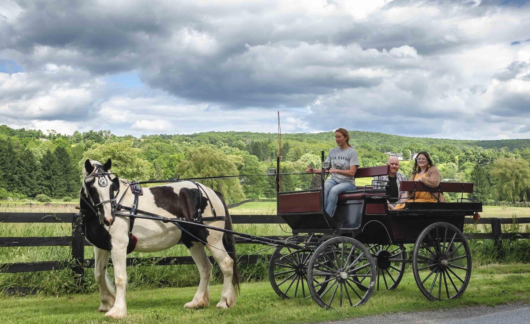 The Wedding Website of Clare Victoria Fitzgerald and Jason Taylor Lemner