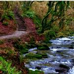 Dún a Rí Forest Park