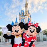 Walt Disney World® Resort