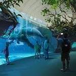 Clearwater Marine Aquarium