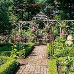 The Frelinghuysen Arboretum