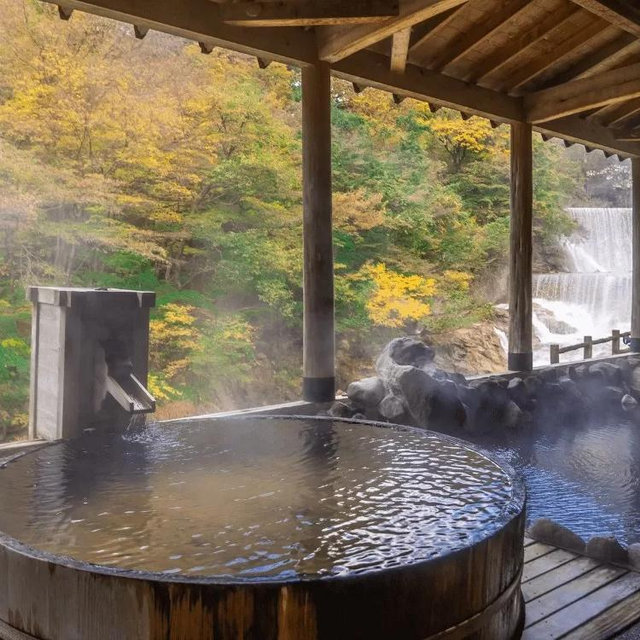 Hakone Ryokan one night stay