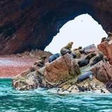 Islas Ballestas