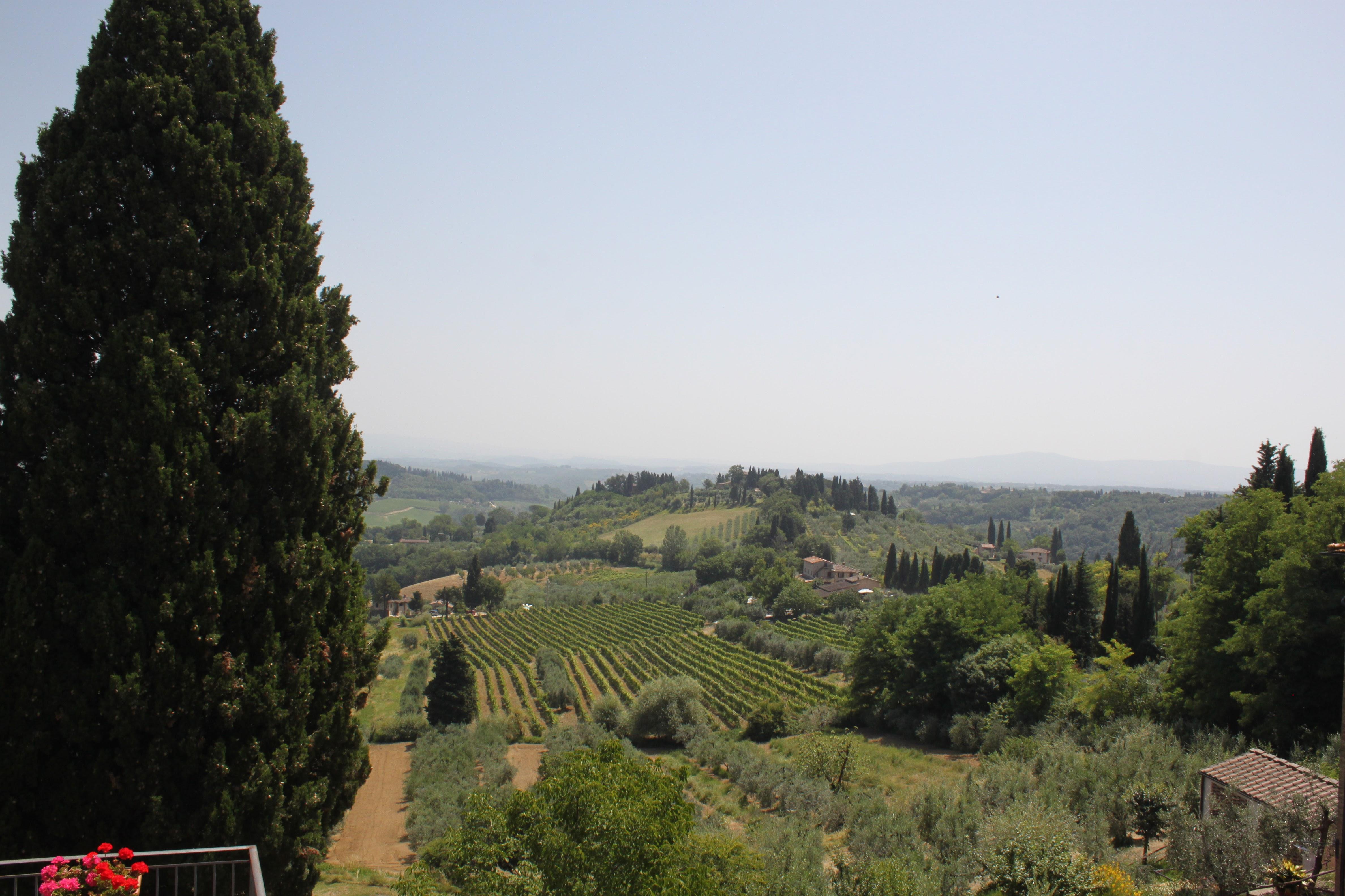 San Gimignano from afar.