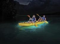 Bahía Bioluminiscente