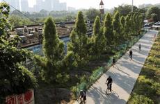 Eastside BeltLine Trail