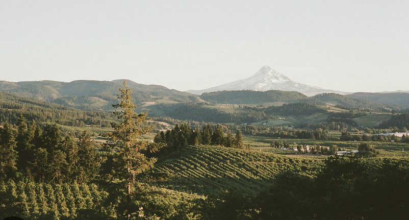 The Wedding Website of Grace Williams and Michael Grams