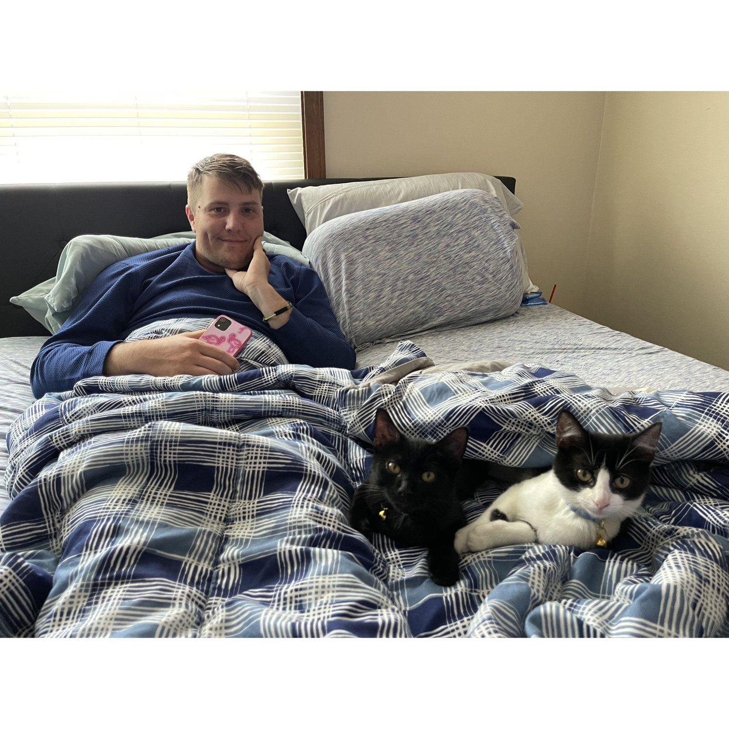 We went to a Cream Cheese Festival and we adopted some kittens!!
