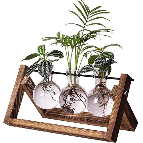 Kingbuy Desk Accessories Glass Planter Bulb Vase with Retro Solid Wooden Stand and Metal Swivel Holder for Office Desk Wedding Decor with Retro Wooden Stand (3 Bulb Vase)
