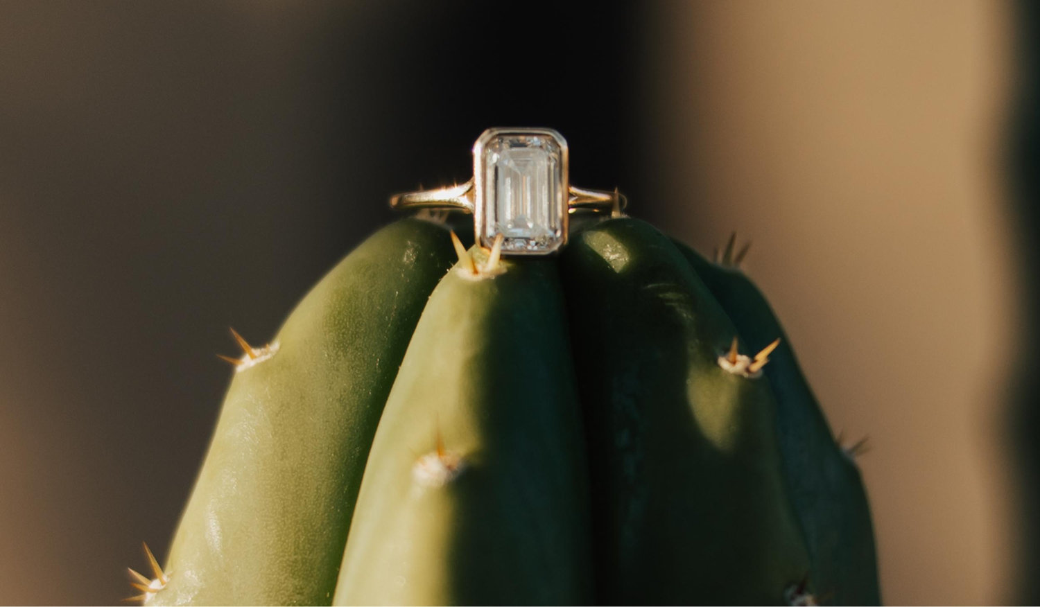 The Wedding Website of Sophie Keahon and Estevan Gallardo