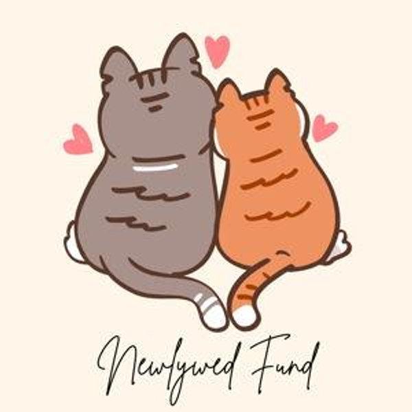 Our newlywed fund