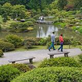 Washington Park Arboretum