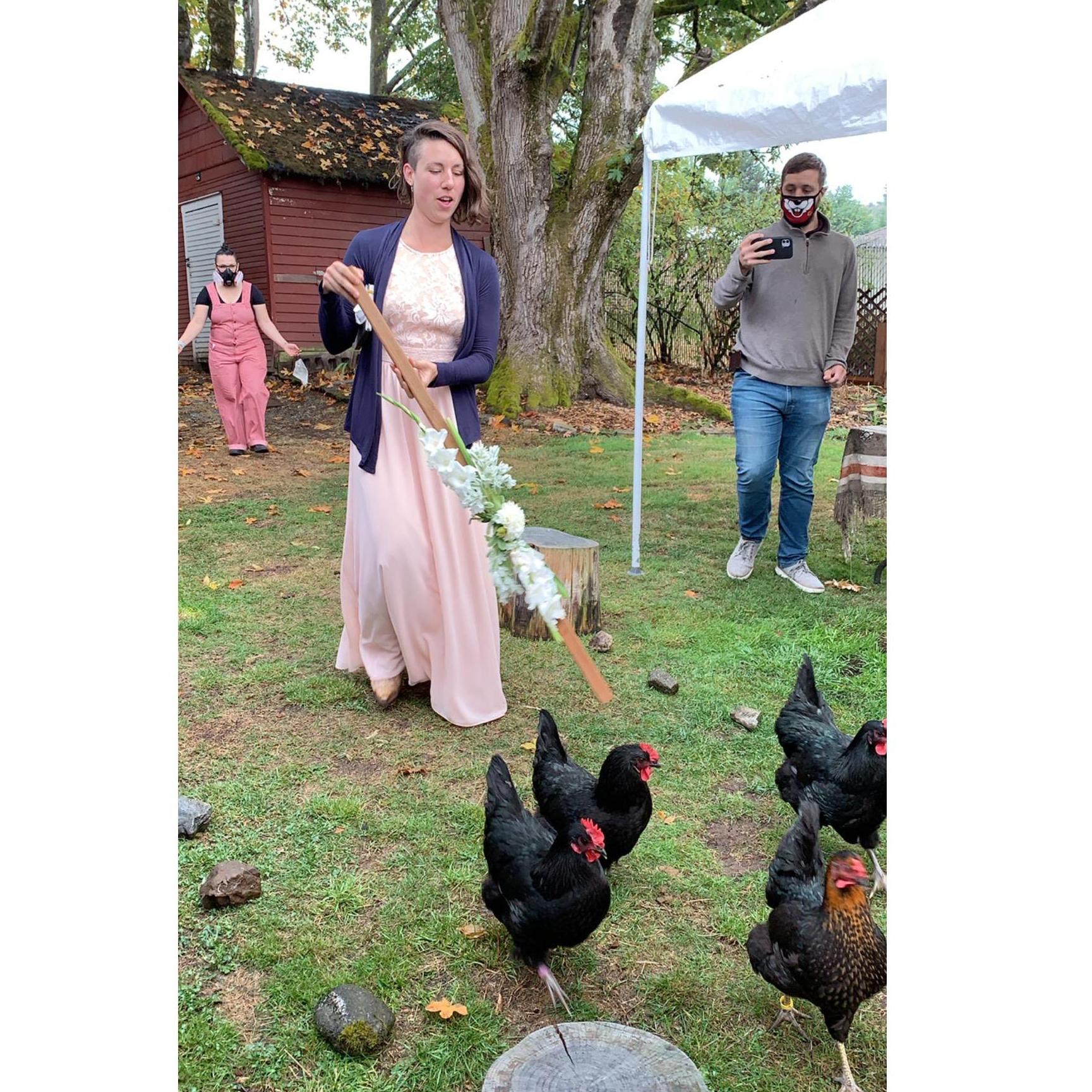 Our chickens did a very good job of leading Katie down the aisle.