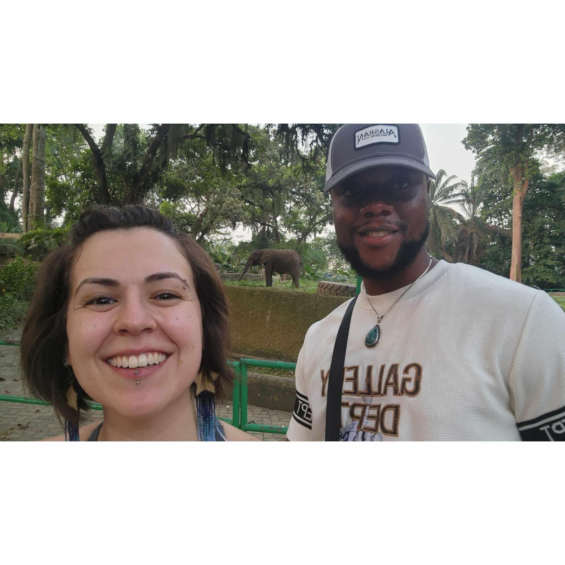 A picture from our visit to the Abidjan Zoo. Abidjan, Cote d'Ivoire, December 2023.