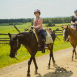 Confederate Trails of Gettysburg Guided Horseback Tours