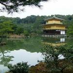 Morikami Museum and Japanese Gardens