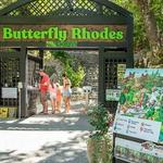 BUTTERFLY VALLEY & SEVEN SPRINGS