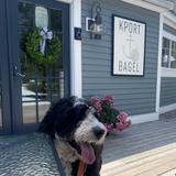 KPort Bagel