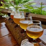 Arizona Wilderness Gilbert Brewpub