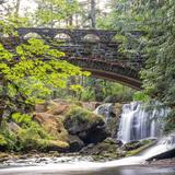Whatcom Falls Park
