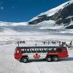 Athabasca Glacier Snow Trip from Banff