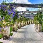 Naples Botanical Garden