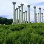 United States National Arboretum