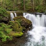 Whatcom Falls Park