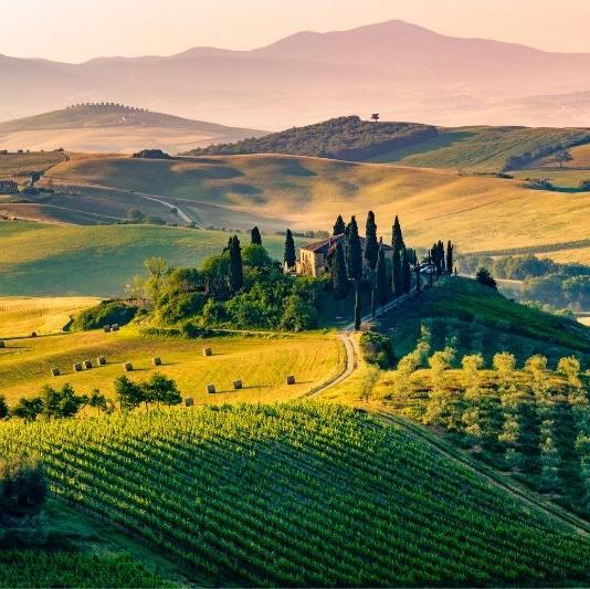 Vineyard Tour in Tuscany