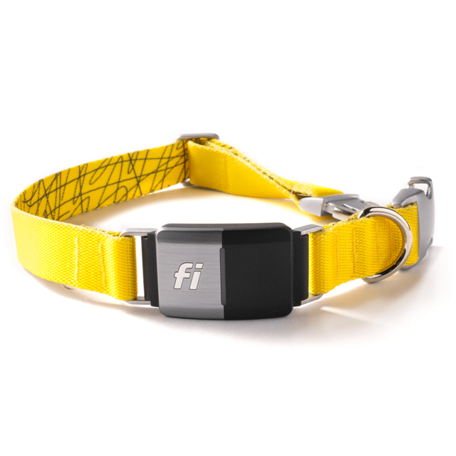 Fi Series 2 Smart Dog Collar