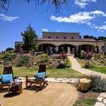 DAOU Vineyards