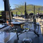 Yonah Mountain Vineyards