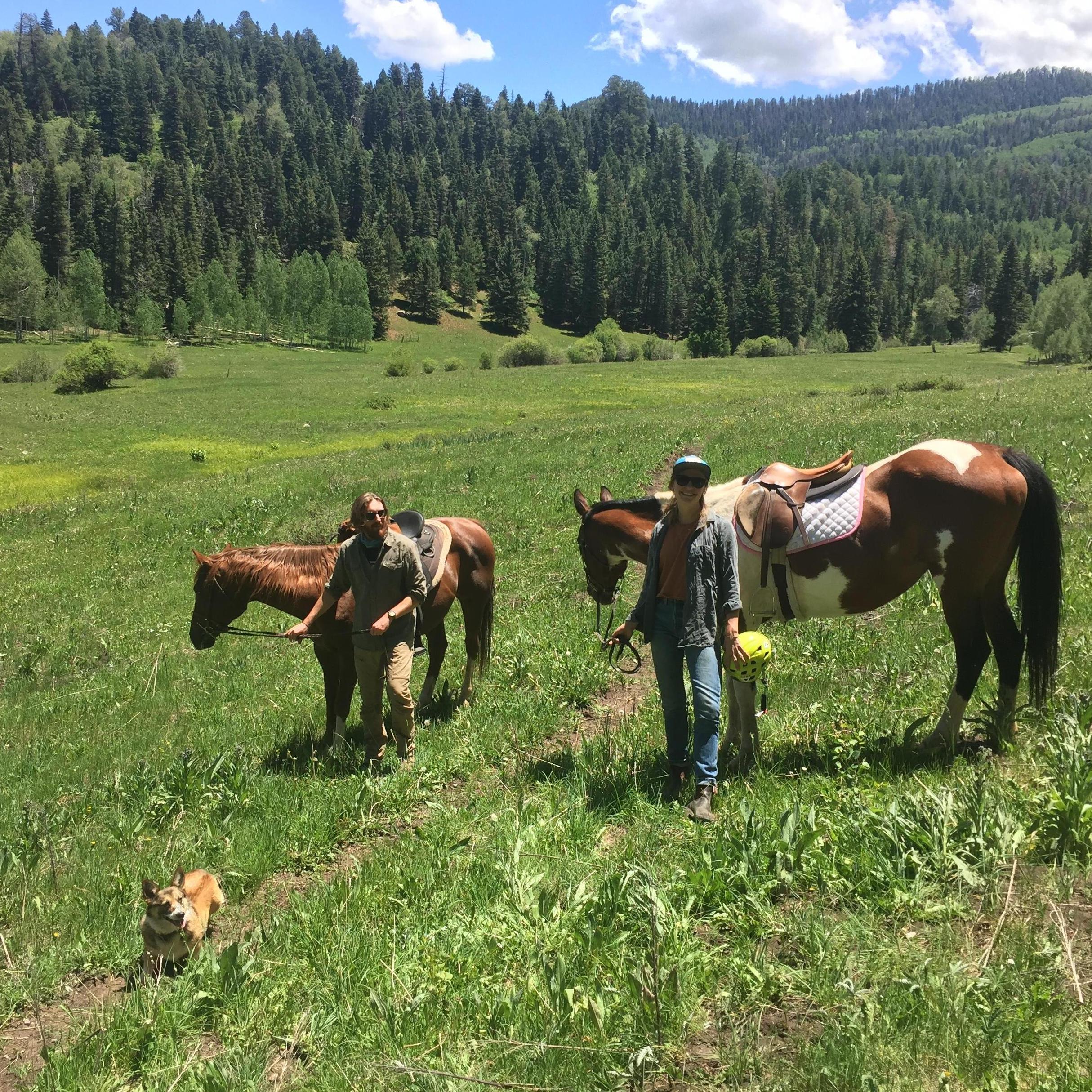 Horses, 2020