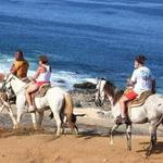 Horseback Riding on the Beach
