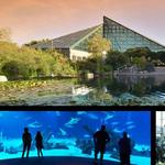 ABQ BioPark - Zoo