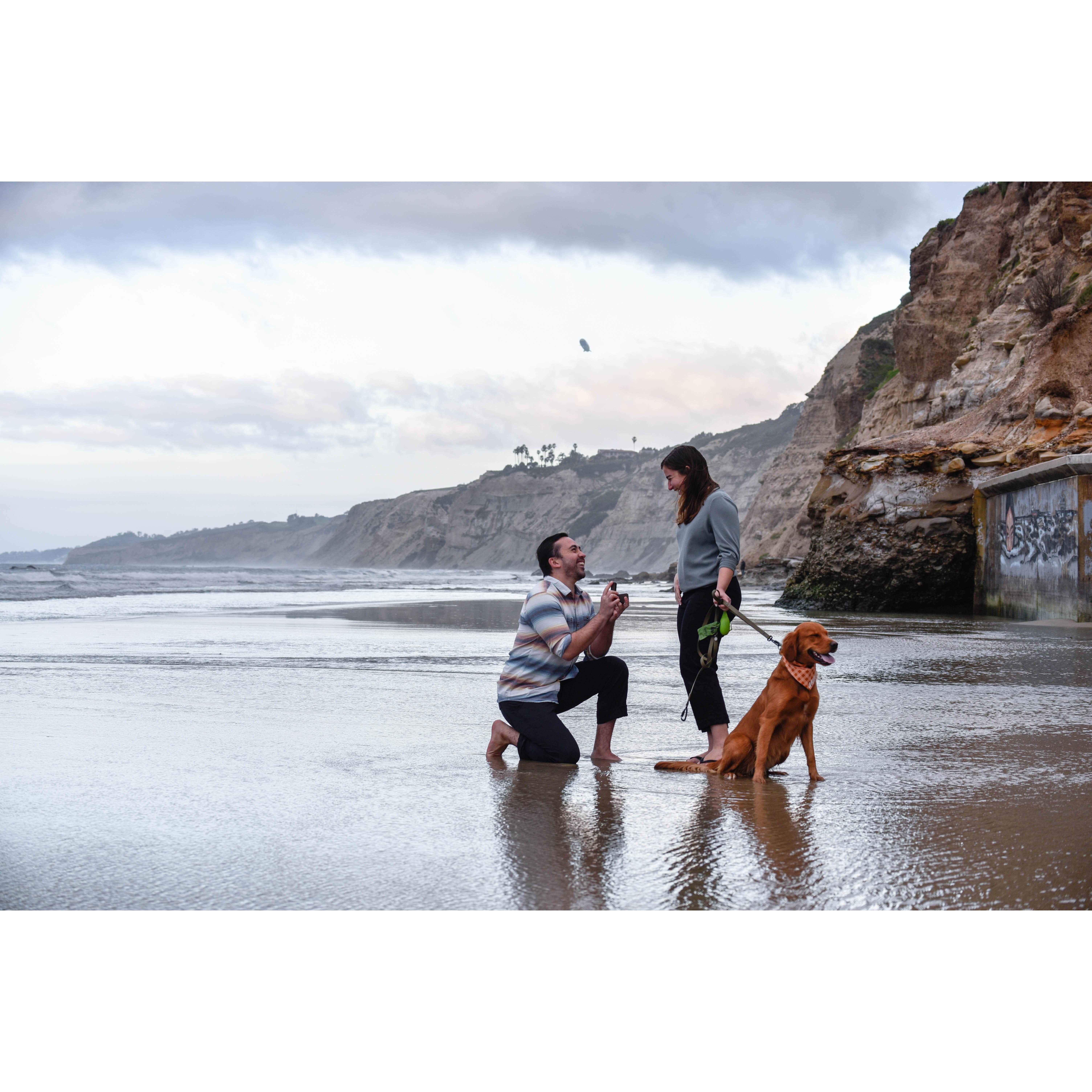 The proposal!