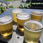 York Beach Beer Company