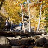 Cunningham Falls State Park