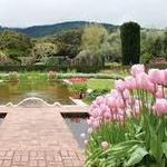 Filoli Historic House & Garden