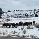 Yellowstone National Park