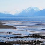 Bishops Beach