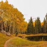 The Pikes Peak & Granite Vista Route (Mueller State Park)