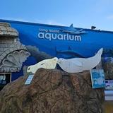 Long Island Aquarium