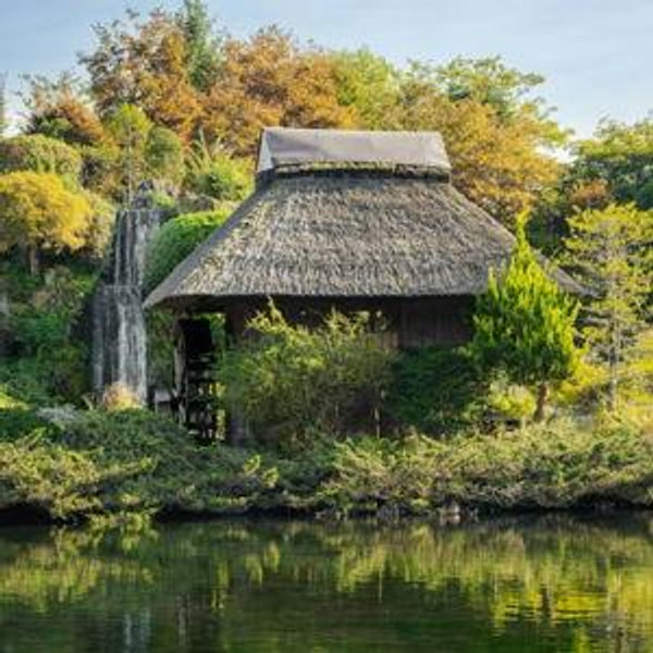 Onsen Experience in Japan