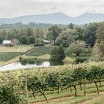 Crane Creek Vineyards