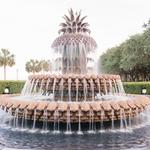 Pineapple Fountain